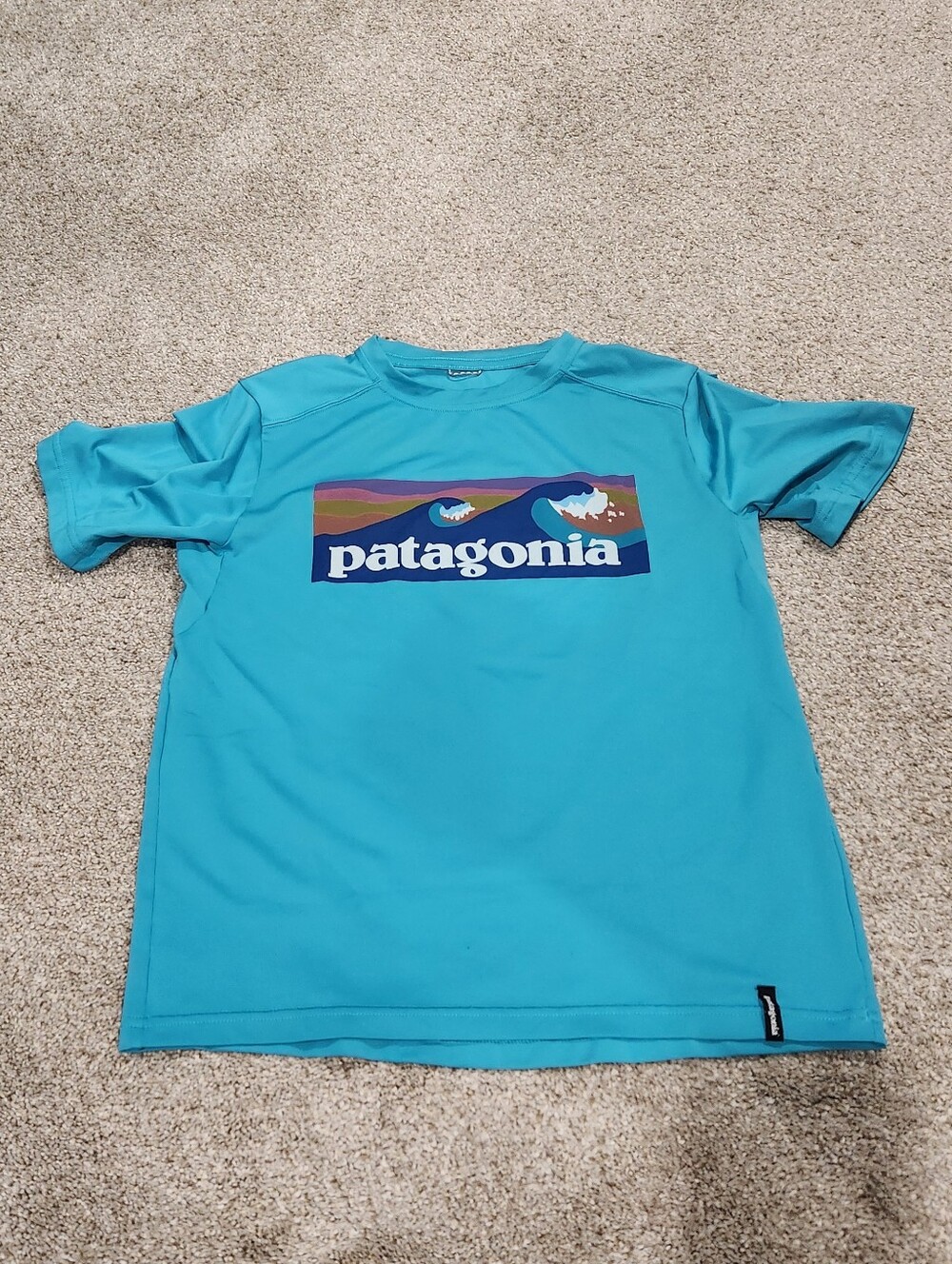 Patagonia Kids' Turquoise Tee